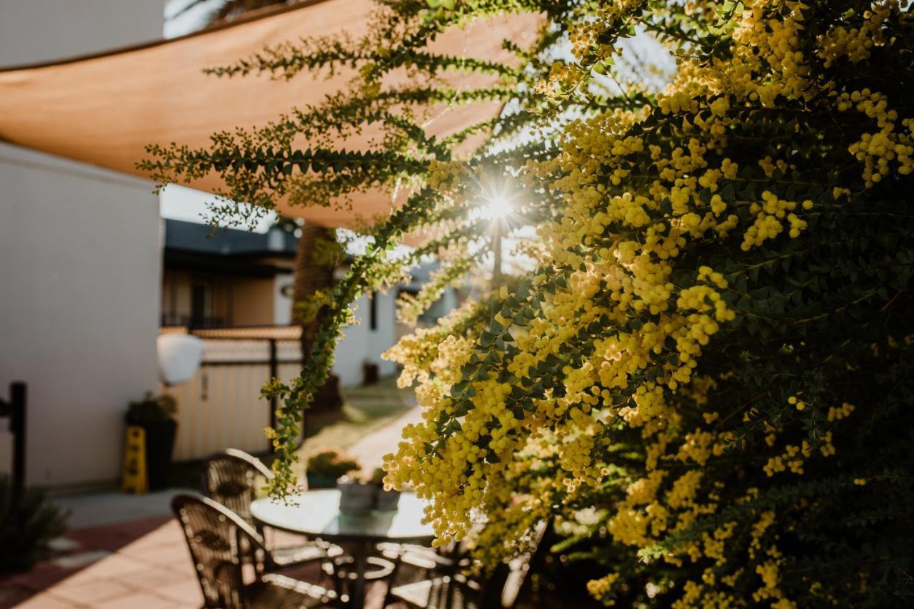 Inverell Terrace Motor Lodge Zewnętrze zdjęcie